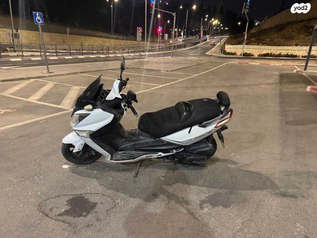 סאן יאנג ג'וי-מקס Z-300