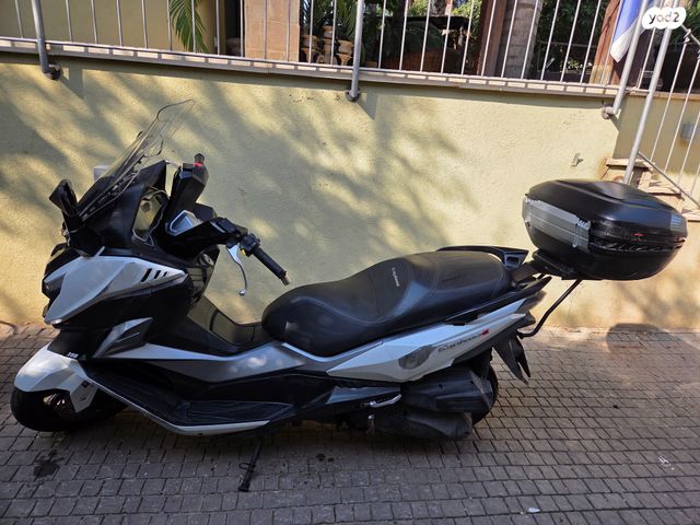 סאן יאנג קרוזים