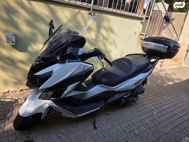 סאן יאנג קרוזים