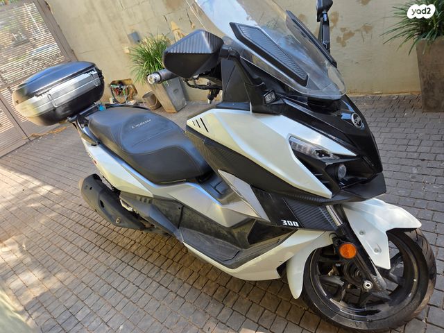 סאן יאנג קרוזים