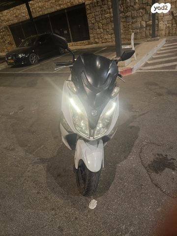 סאן יאנג ג'וי-מקס Z-300