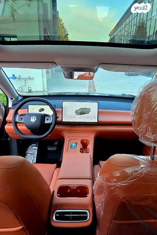 ליפמוטור C10