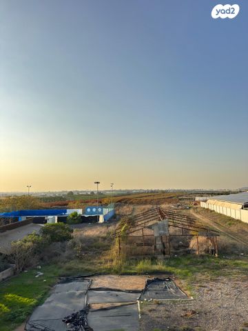 משק חקלאי/ נחלה, הברוש 1, פתחיה, פתחיה