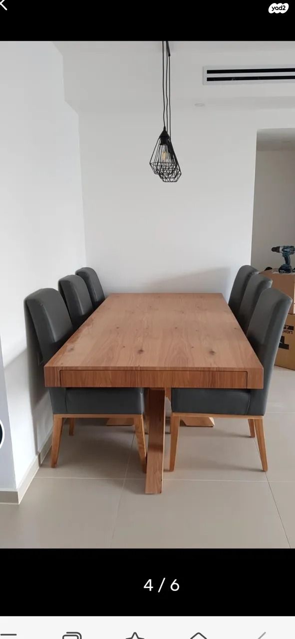 ליאו פיקרד 16