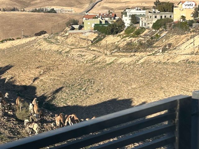 בית פרטי/ קוטג', עירית 8, שקד, ערד