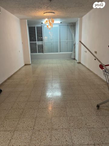 אריה שנקר 24