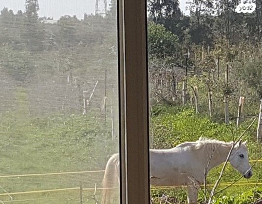 בית פרטי/ קוטג', הצאלון 1, שדה יצחק, שדה יצחק