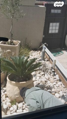 יחידת דיור, עירית 8, שקד, ערד