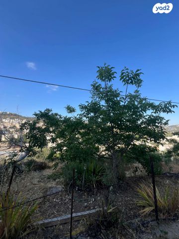 דירה, אל עבד עלי 10, אבו גוש, אבו גוש