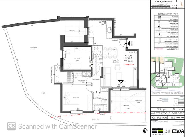 פרופסור יעקב נאמן 1