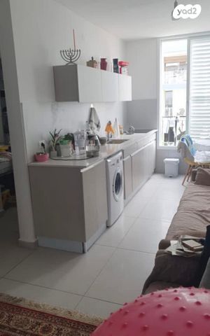 צבי הירשפלד 15