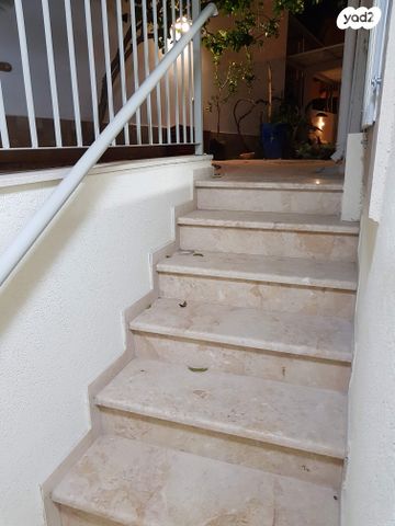 שלמה מילר 24