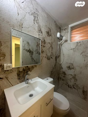 דוד רזיאל 20