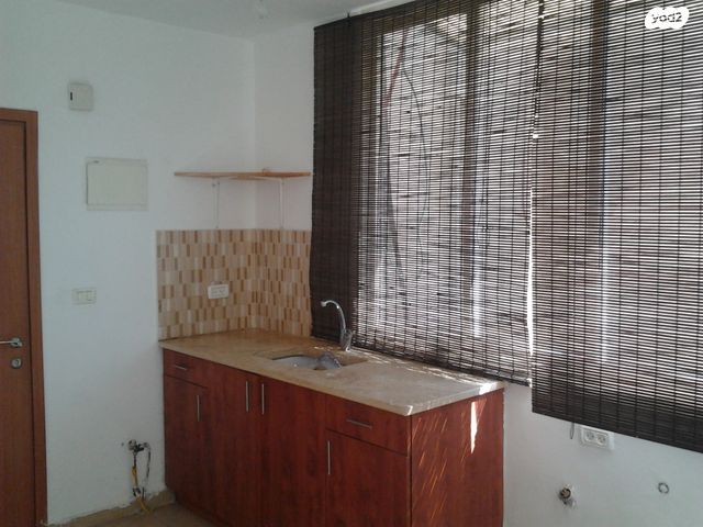 שבטי ישראל 15