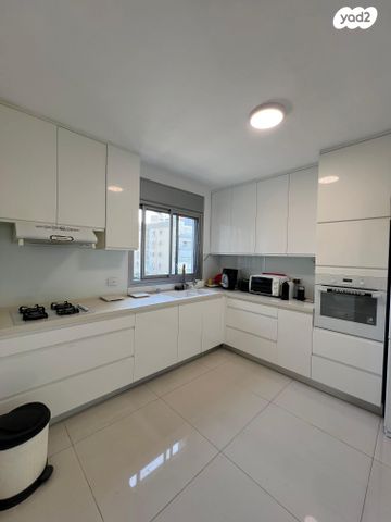 דוד אלעזר 50