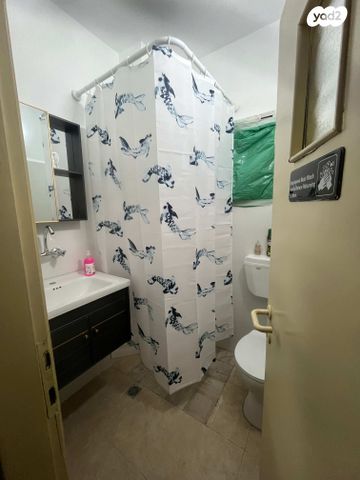 אל עבד עלי 8