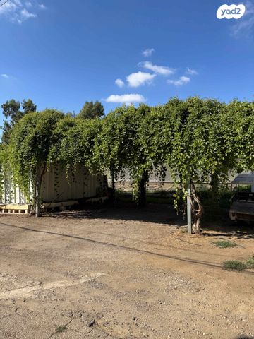 דירת גן, קיבוץ גלויות 64, שחר, שחר