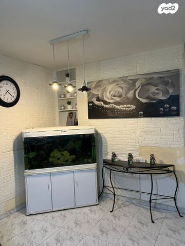 דירה, אלעזר בן יאיר 42, טללים, ערד