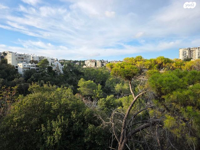 משמר הגבול 12