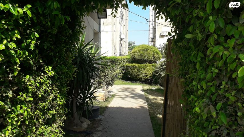 דירה, הגדוד העברי 6, השופטים צפון, רמלה