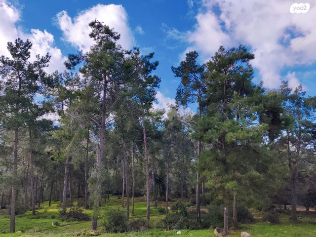 יחידת דיור, דרך השחף 1, עצמון שגב, עצמון שגב