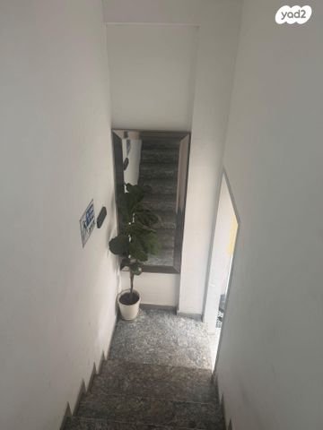 דירה, ותיק 2, התקוה, בית יעקב, נווה צה"ל, תל אביב יפו