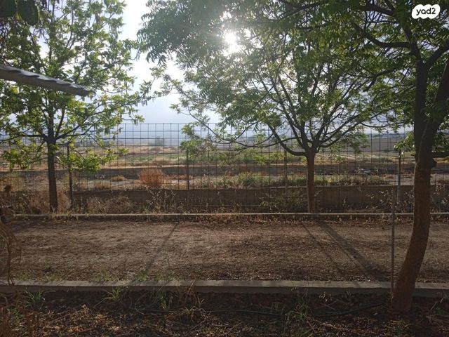 דירה, הציפורן 1, נבטים, נבטים