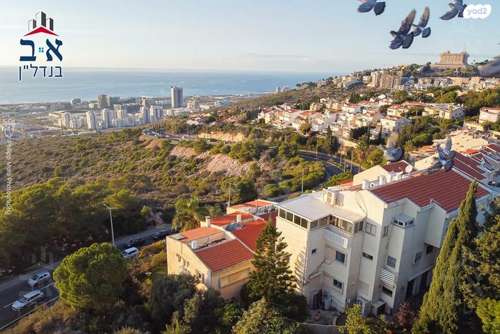 דירה, אלברט שווייצר, רמת אשכול, חיפה