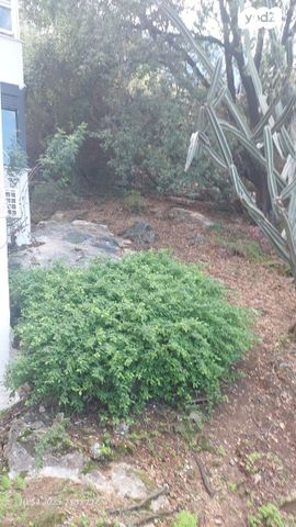 דירה, הס, הדר עליון, חיפה