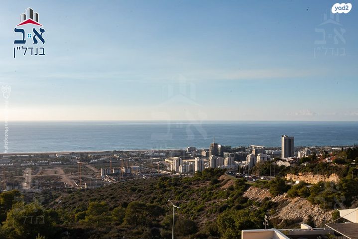 אלברט שווייצר 