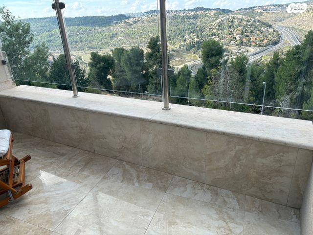 האדמו"ר מרוז'ין 