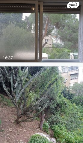 דירה, הס, הדר עליון, חיפה