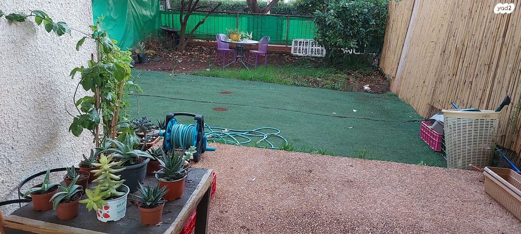 דירת גן, ערבה, הפרסה, כרמיאל