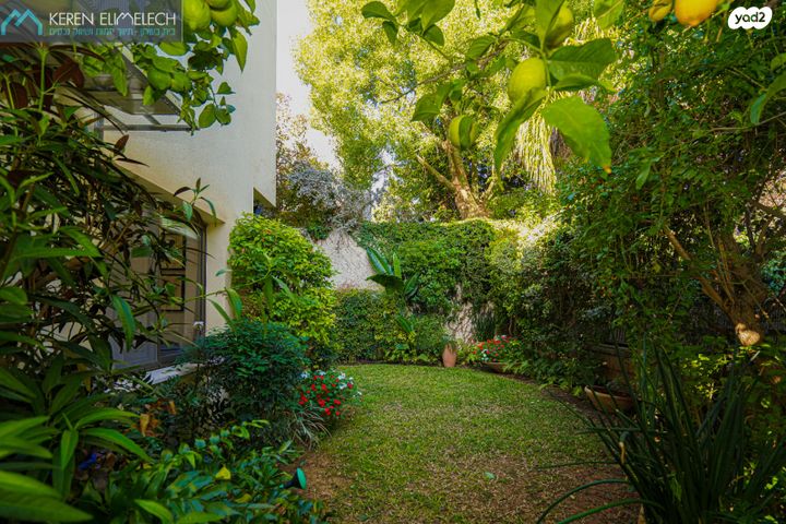 בית פרטי/ קוטג', תל מונד