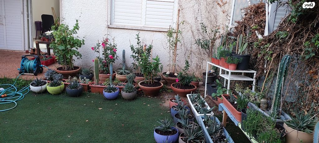 דירת גן, ערבה, הפרסה, כרמיאל