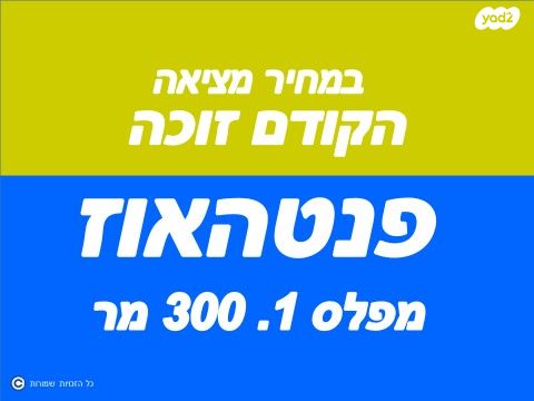 אליעזר בן יהודה 