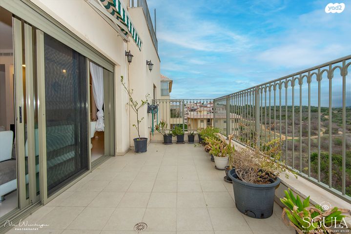 דופלקס, חסידה, חלומות זכרון, זכרון יעקב