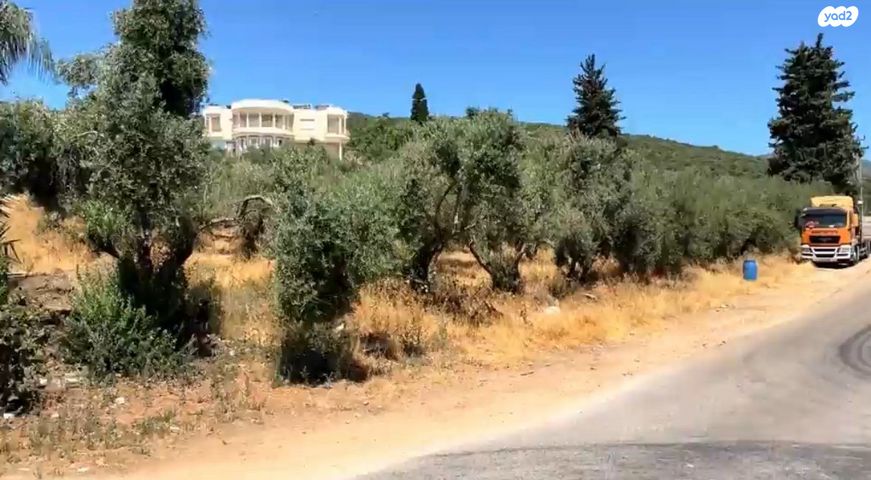 משק חקלאי/ נחלה