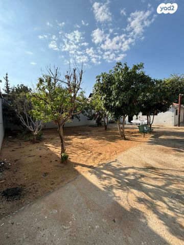 מגרשים, התקווה, ממשלתית, לוד