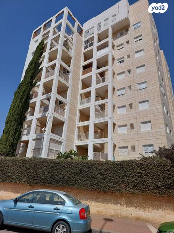 מאיר גרוסמן 