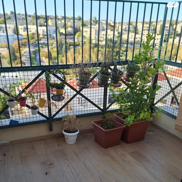 דופלקס, נחל זוהר, משואה, מודיעין מכבים רעות