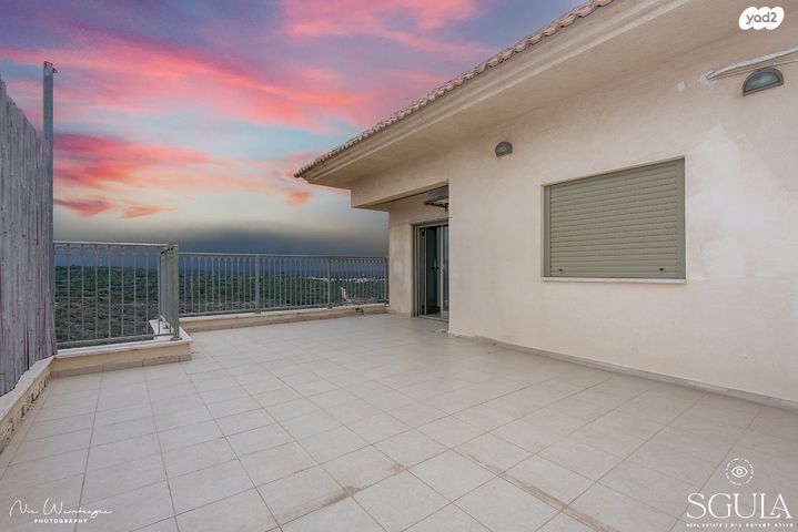 דופלקס, חסידה, חלומות זכרון, זכרון יעקב