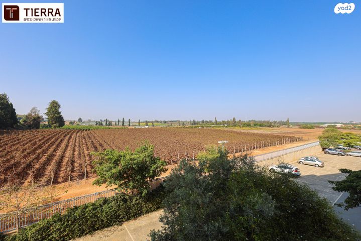 דירה, רמת אמיר, קדימה צורן