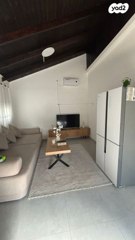 מגרשים, התקווה, ממשלתית, לוד