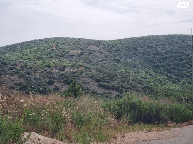 בית פרטי/ קוטג', התמר, גורנות הגליל, גורנות הגליל