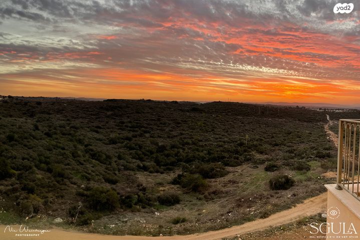דופלקס, חסידה, חלומות זכרון, זכרון יעקב