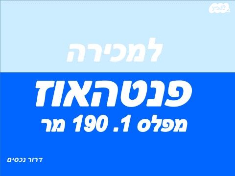 חיים כהן 