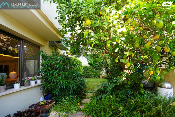 בית פרטי/ קוטג', תל מונד