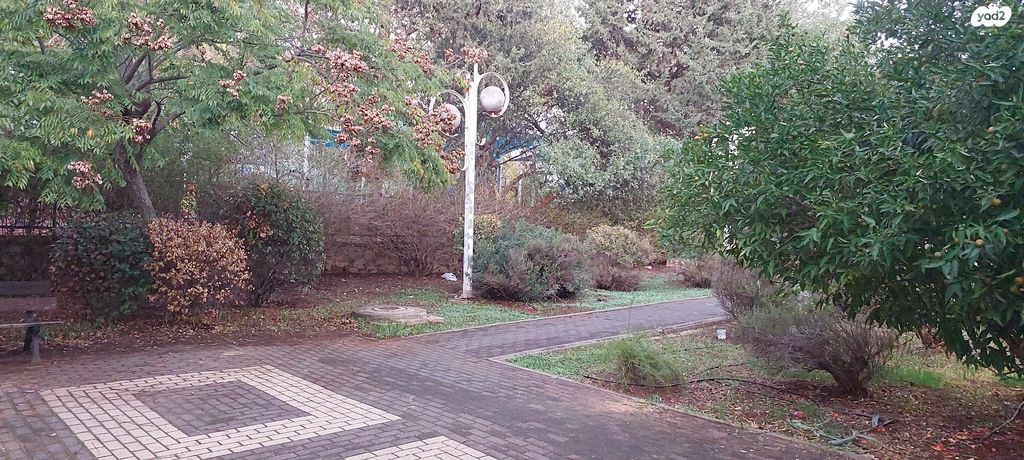 דירת גן, ערבה, הפרסה, כרמיאל