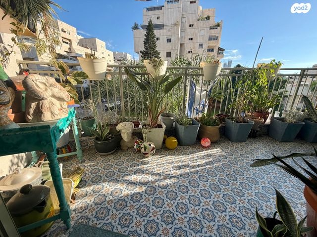 דירה, כוכב הצפון, תל אביב יפו